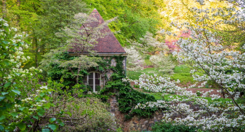 Garden & Estate Insider: A Spring Garden Walk