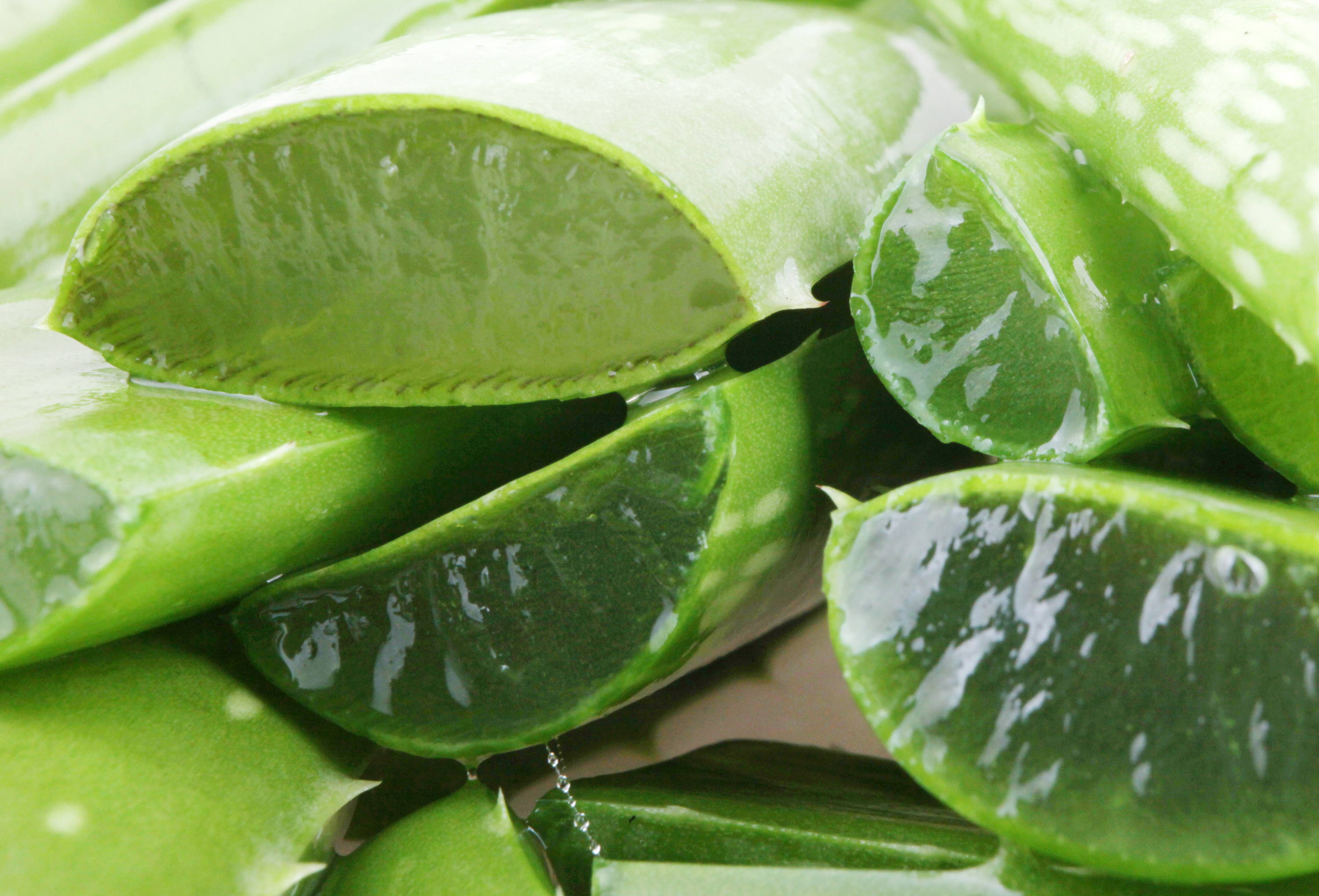 aloe vera skincare