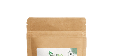 Graine de Courge Bio - Vitalité