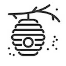 Logo Imkern mit Schwarmtrieb