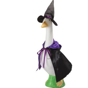 Witch Goose Outfit