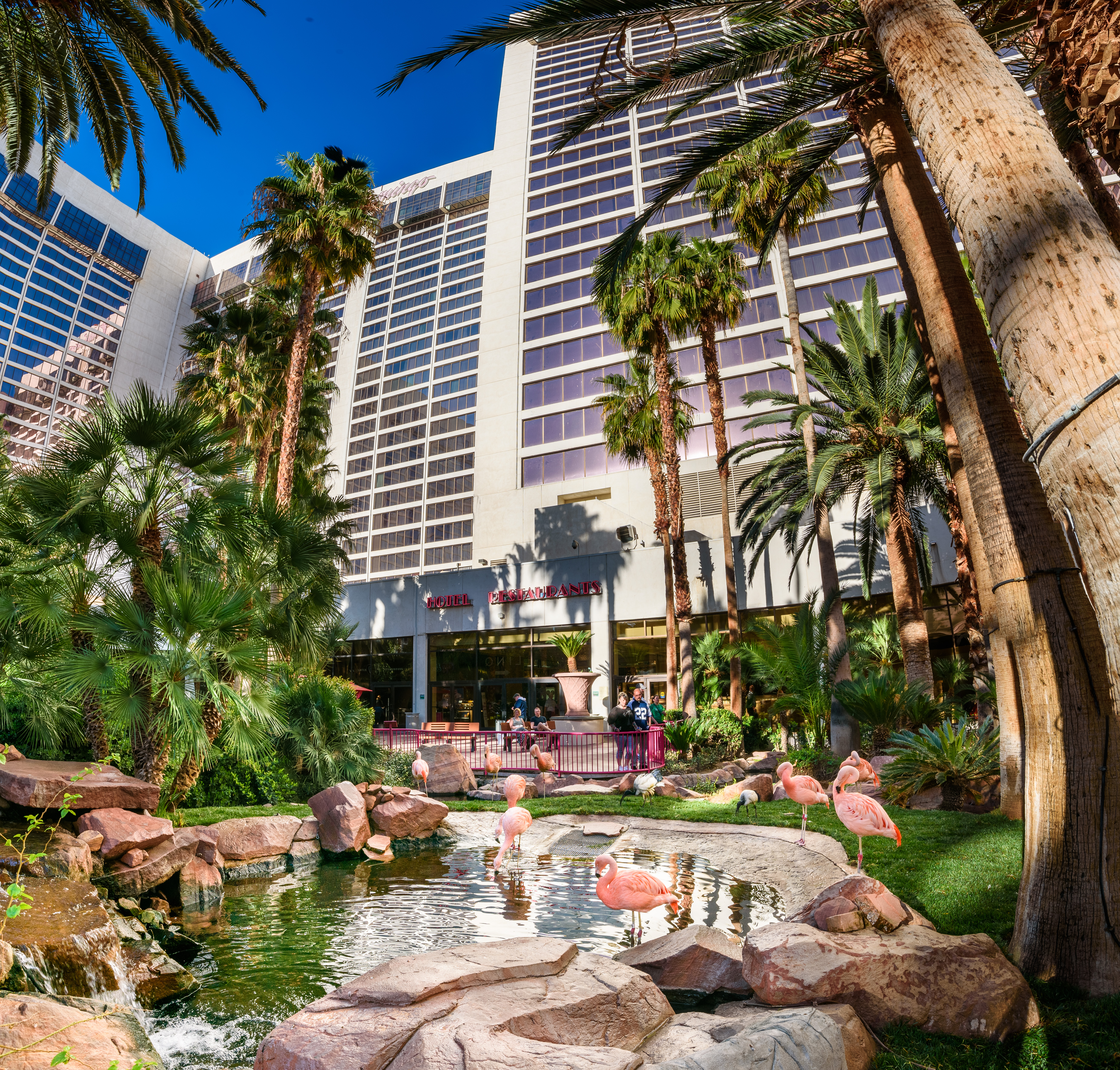Flamingo Uploaded on 2021-11-15