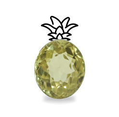 garnet vibes Detox