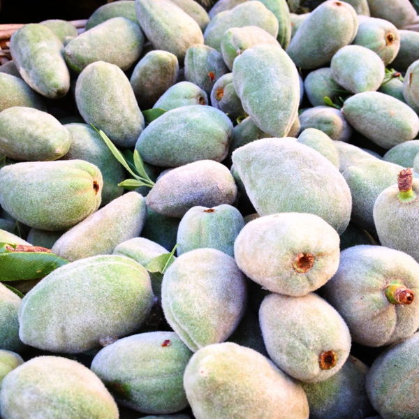 amandes-fraiches