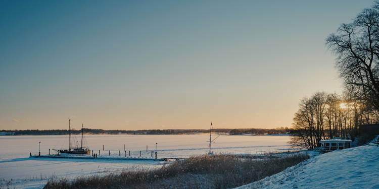 ALB Newsletter November 2024