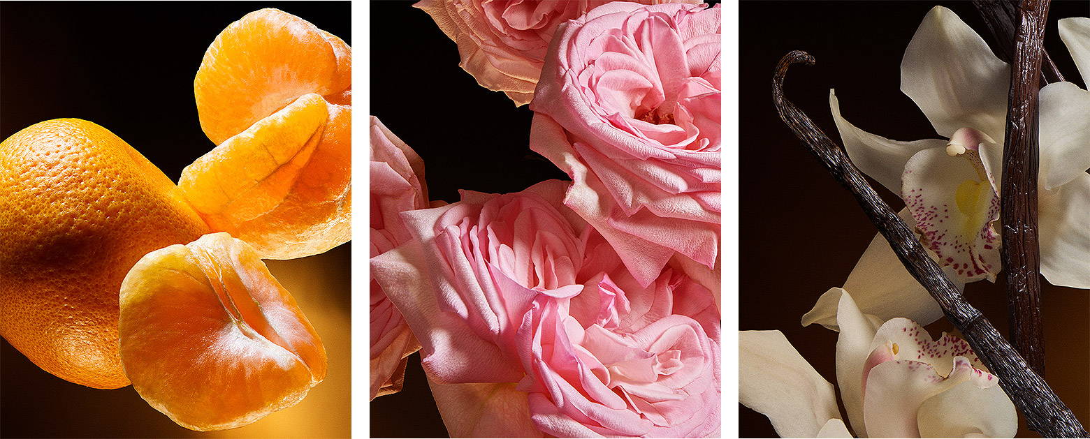 ドルチェ＆ガッバーナ ザ・ワン オードパルファム