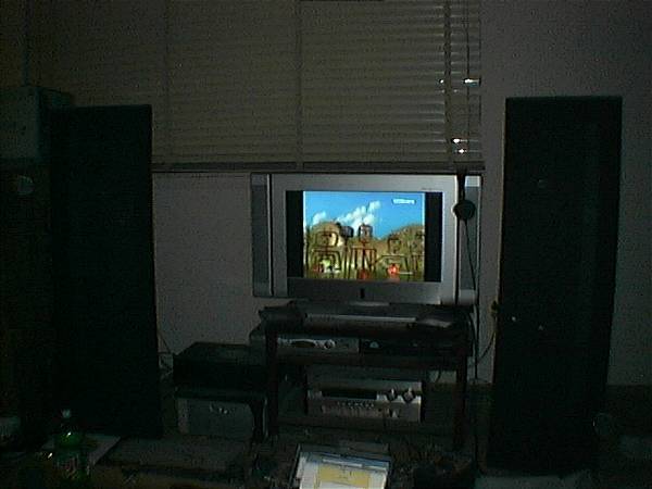 Live-able and Magnepan Based