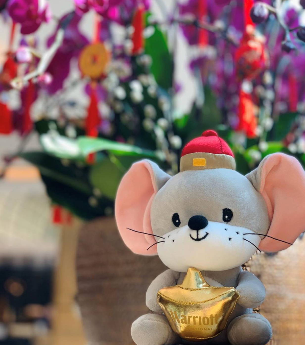 Marriot Hotel Group CNY Plush