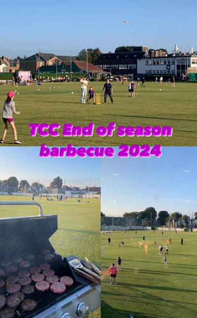 Terenure Cricket Club Cricket Club Logo