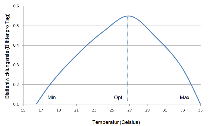Basilikum Diagramm Blattentwicklung-Temperatur