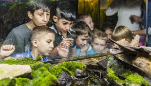 naturkundemuseum kinder mit grasfrosch