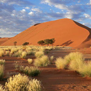 Namibia Honeymoon Fund