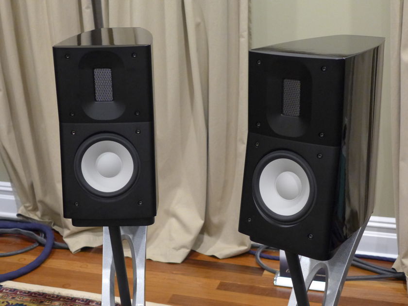 Raidho Acoustics  C1.1 with Dedicated Stand