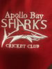 Apollo Bay cricket club Logo