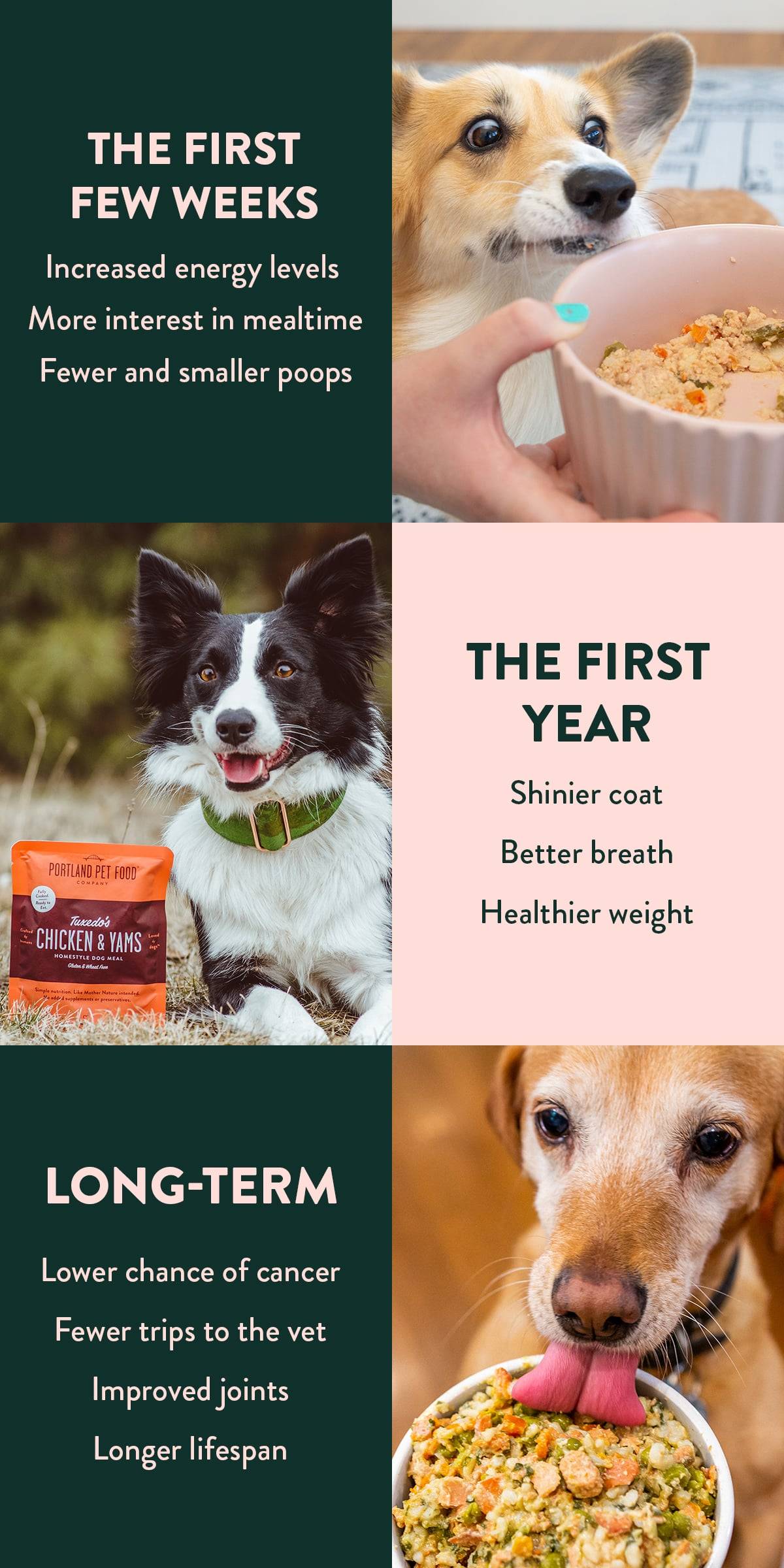 We made the best, fresh dog food that can give their food a natural boost. 