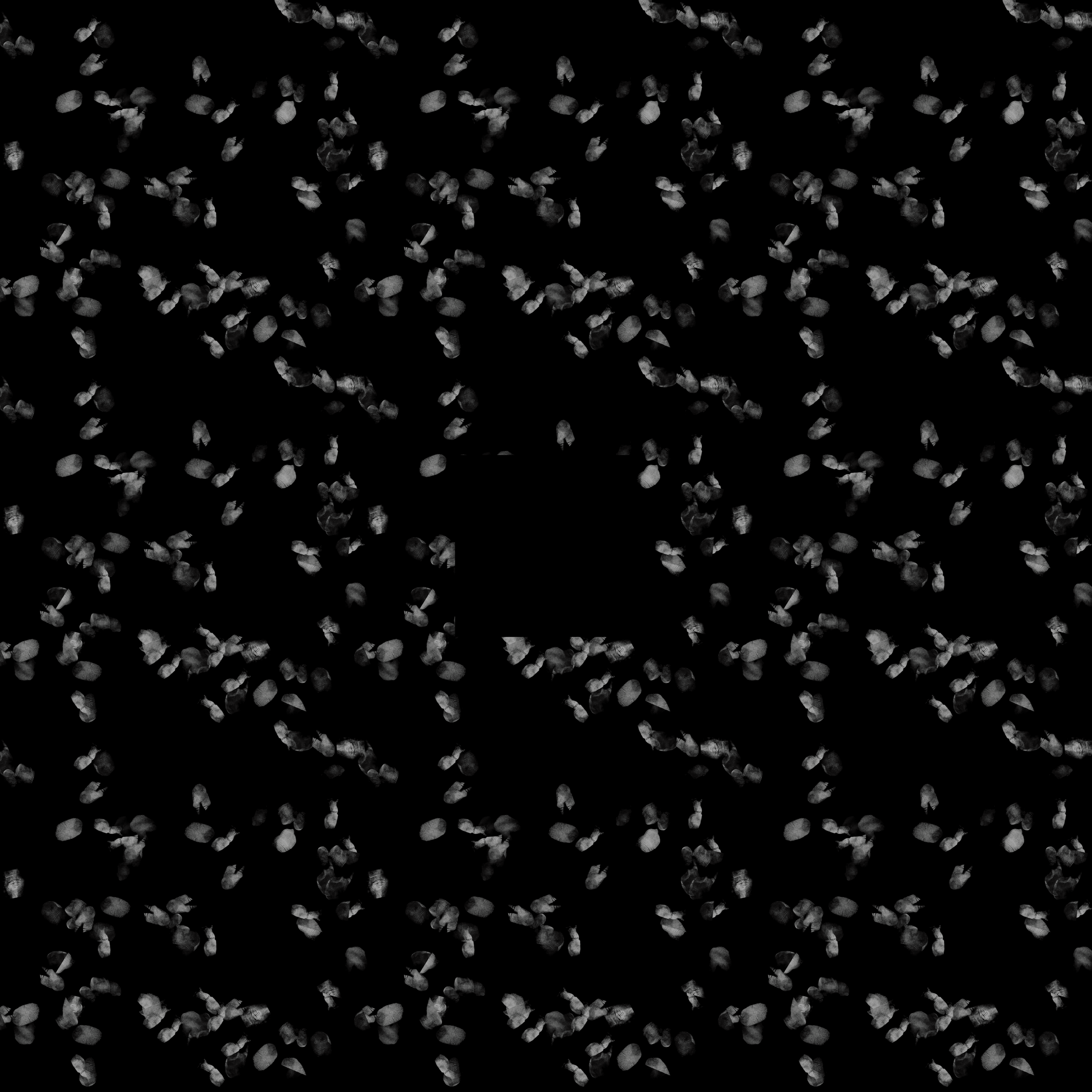 Fingerprint Example 2