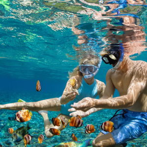 Snorkeling Excursion