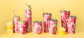 Swig Life Pink Lemonade Drinkware Collection Featuring Tumblers, Straws, Wine Tumblers, Travel Mugs