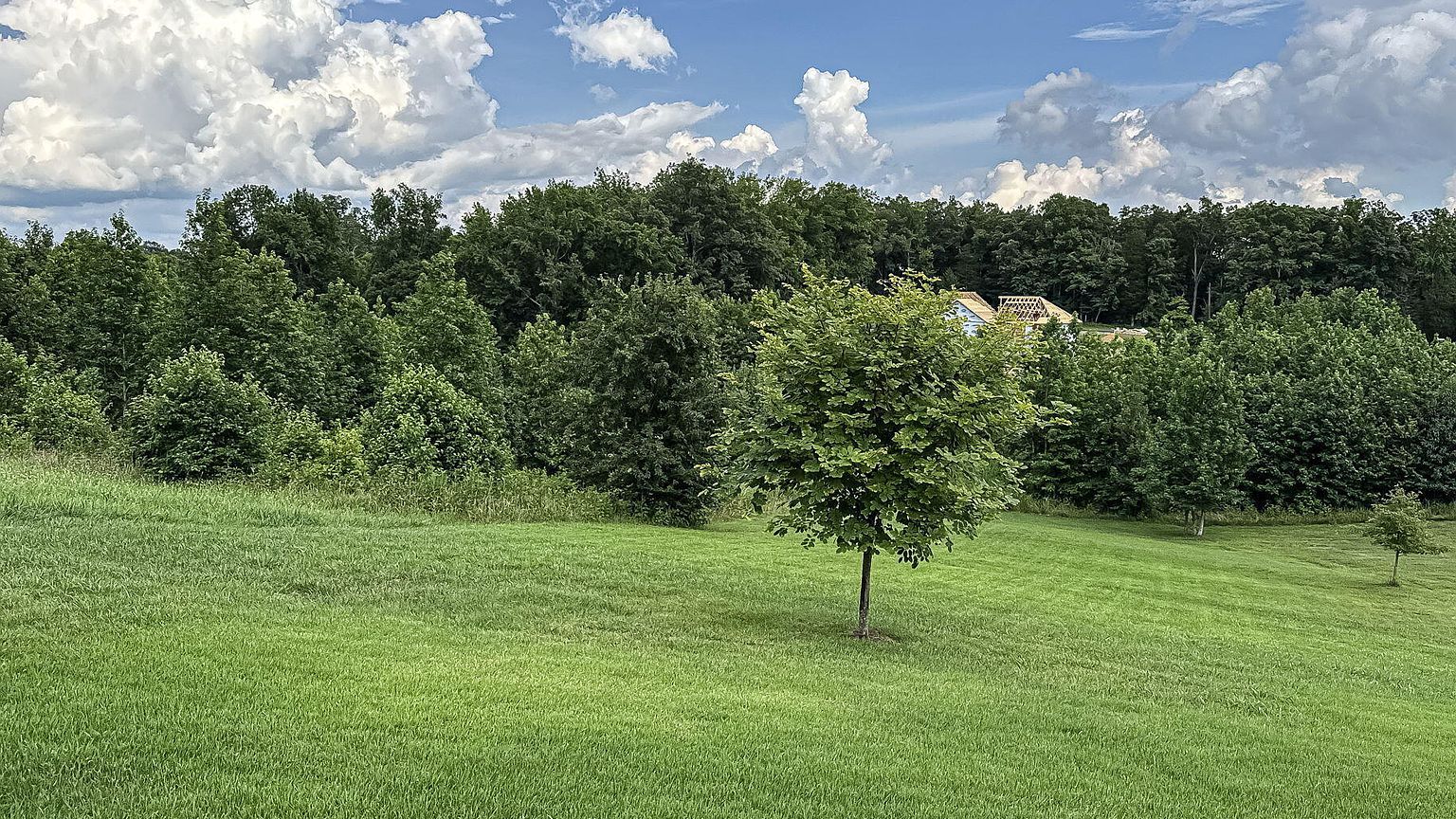 Slideshow image