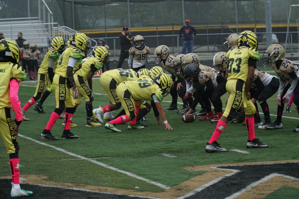 personalised football sock ties