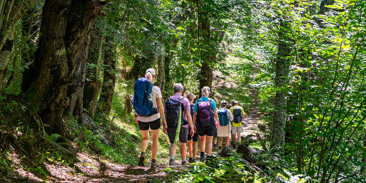 Group on a hike in tropical forest