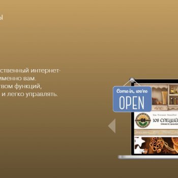 Онлайн конструктор сайтов Ucoz - время профессионалов