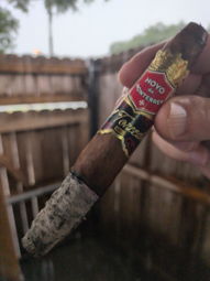 Nice ash