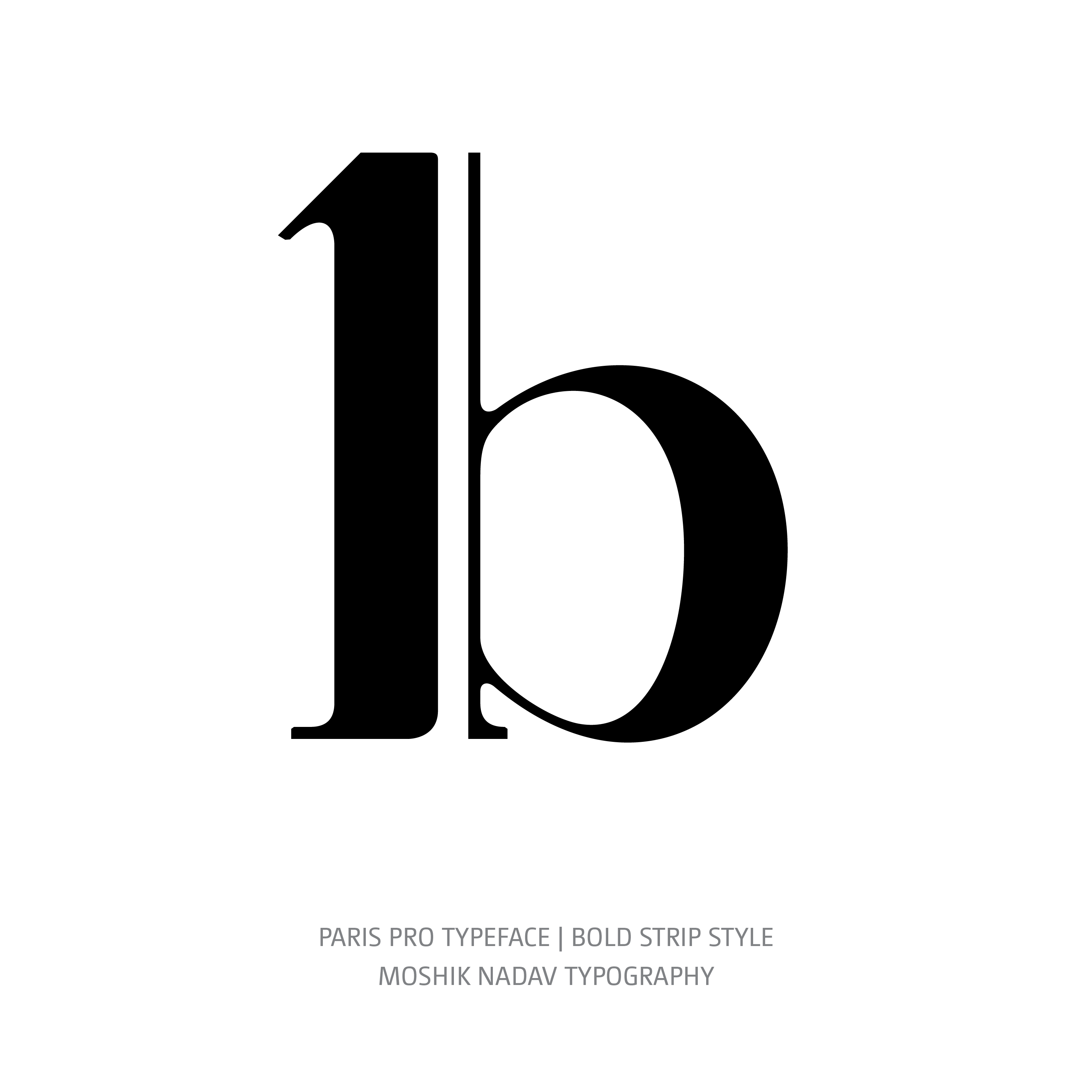 Paris Pro Typeface Bold Strip b