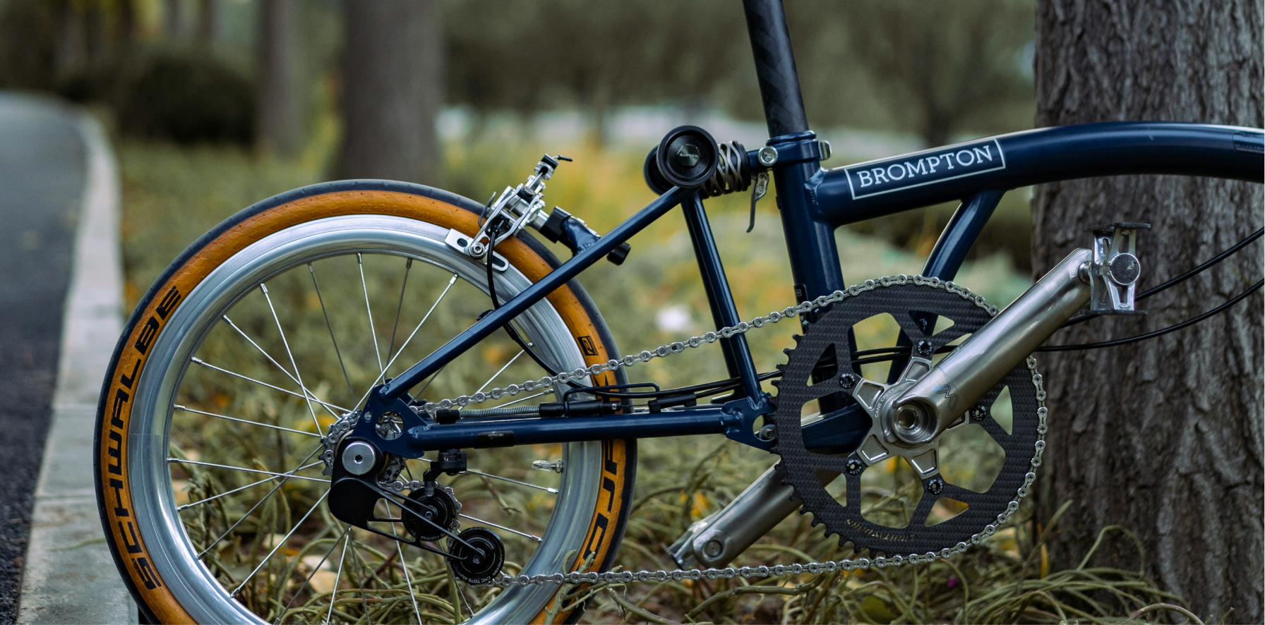 bicicleta electrica plegable brompton en un arbol