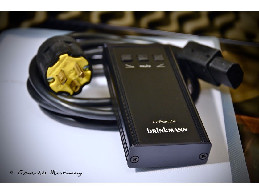 Brinkmann Audio Integrated Amp w/optional tube DAC (*rare edition*)