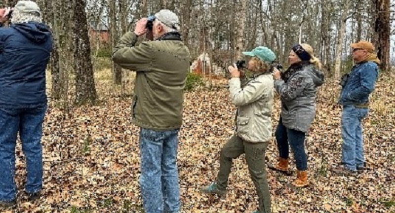 Birding Walk at Staatsburgh  