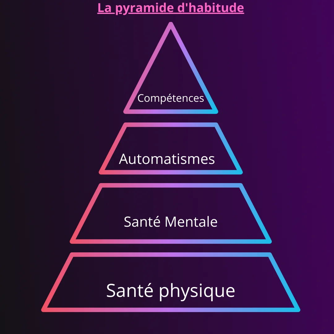 pyramide d'habitude hermione médecine méthode de travail en PASS