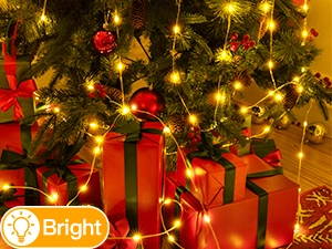 Ollny's 600 leds clear wire warm white Christmas lights with 4 brightness levels