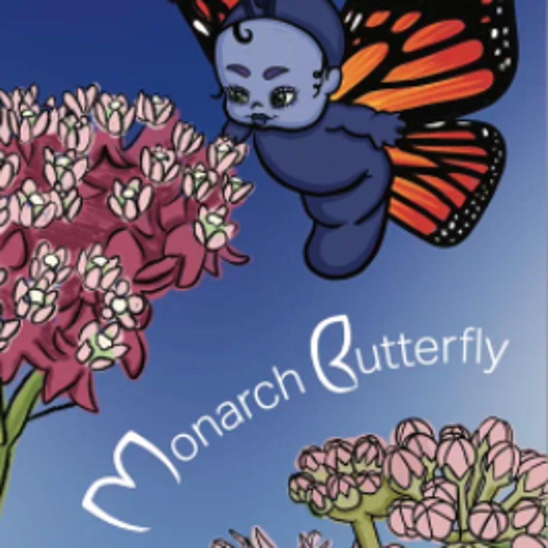 Image of How to Help Save the Monarch Butterfly
