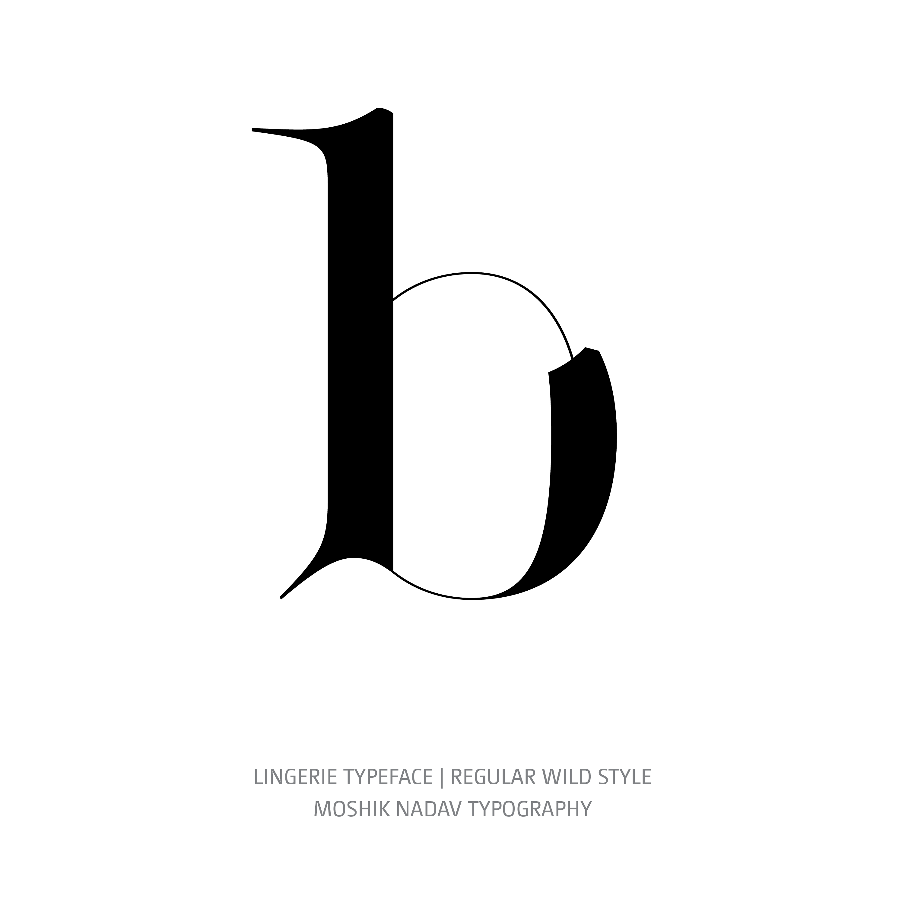 Lingerie Typeface Regular Wild b