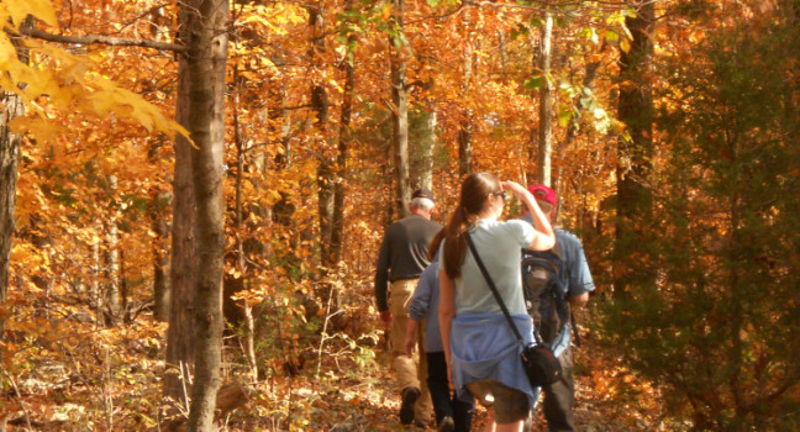 Fall Color Hikes at Owl's Hill