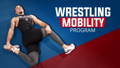 Mobility for Wrestling
