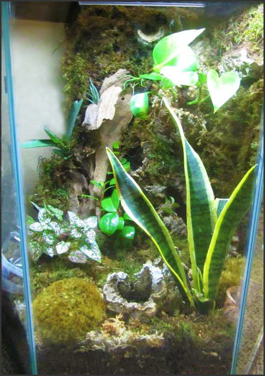 Vivarium 