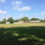 Watford Town Cricket Club logo