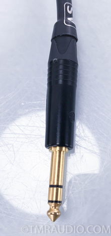 Amplifier Surgery  Headphone Cable; (3193)