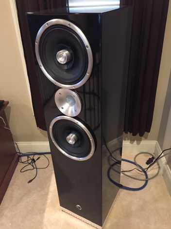 Actual Photograph of my speakers!