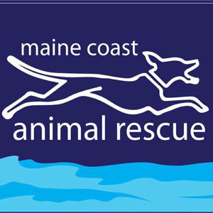 Maine Coast Animal Rescue