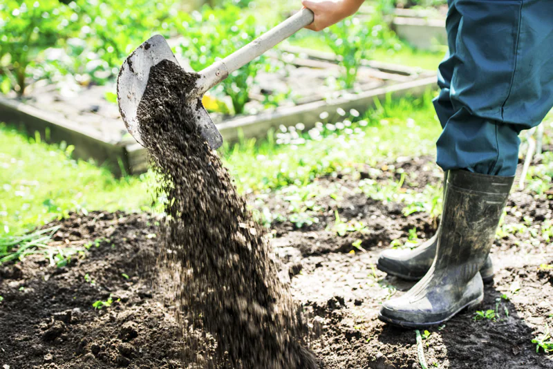 Gardener digging and adding compost to the garden