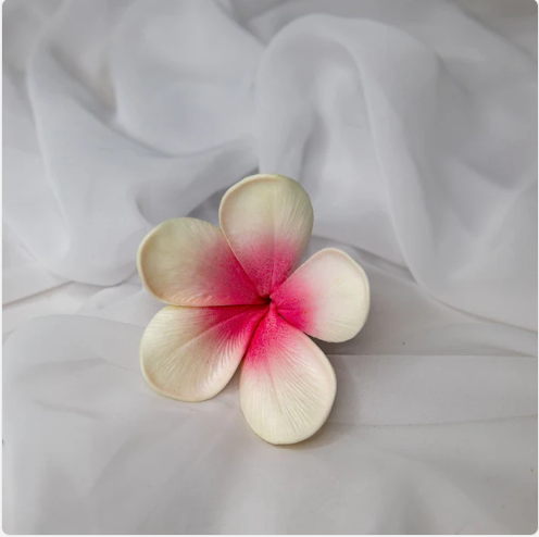White Pink Frangipani Flowerhead (6 Pack) - Realistic Artificial Flowers - Image 5