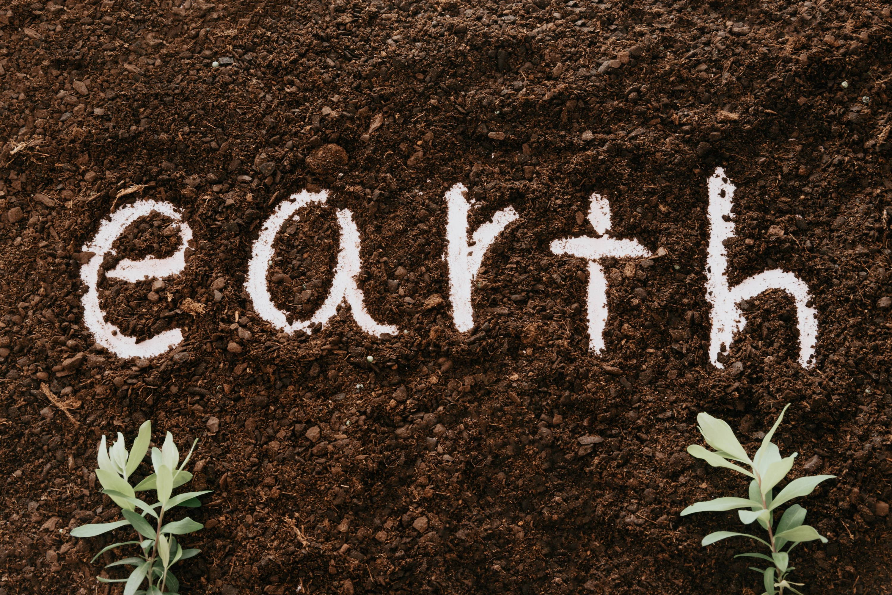 Earth written in soil demonstrating how soil can impact a Sauvignon Blanc's flavours and aromas.