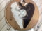 Mark Knopfler - Golden Heart HDCD Vertigo UK. 2