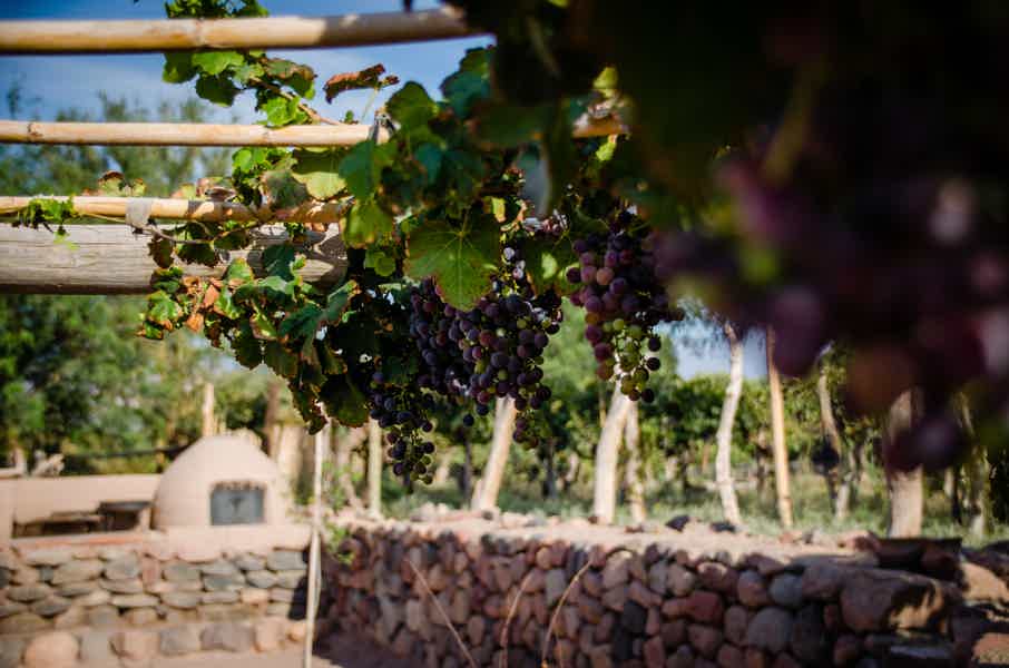 Half-Day Etyek Wine Tour from Budapest with Meal - photo 2