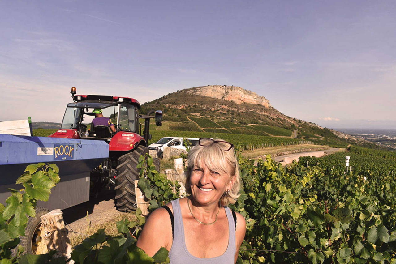 Domaine Hotea (vigneron)