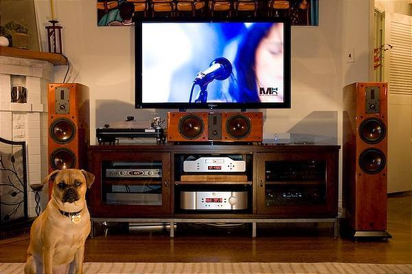 my listening buddy