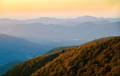 The last light of the setting sun hits the crags atop Mount Sneffels, with a mostly golden grove of quaking aspens below, in the San Juan Mountains near Ridgway, Colorado.